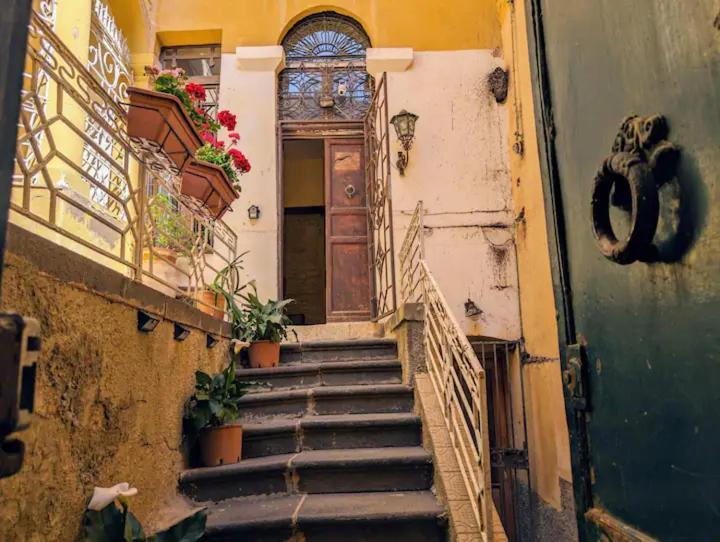 Nuovo Piccolo Gellia *